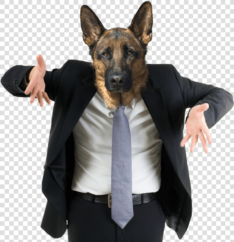 Confused Dog Png   Stock Image Of Man Shrugging  Transparent PngTransparent PNG