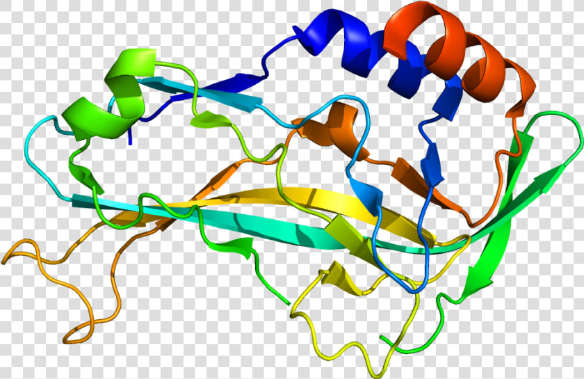 Protein Tbx5 Pdb 2x6u  HD Png DownloadTransparent PNG