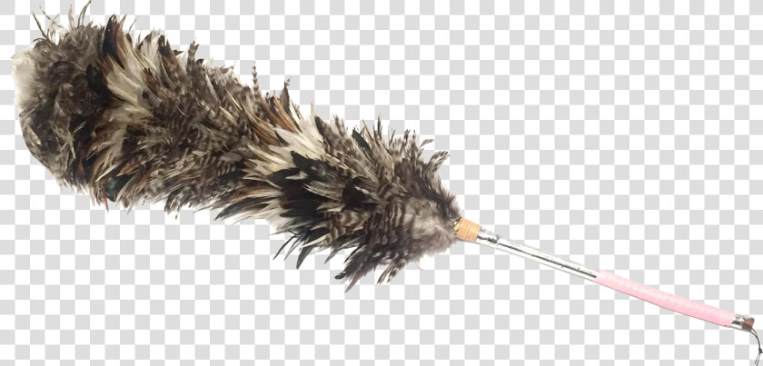 Feather Duster Png   Feather Boa  Transparent PngTransparent PNG