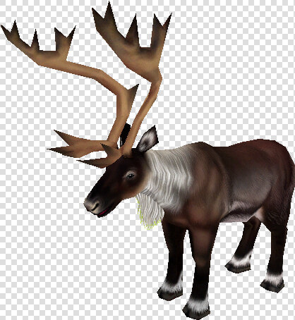 Download Zip Archive   Caribou Zoo Tycoon 2  HD Png DownloadTransparent PNG