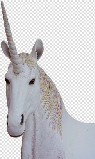Png  Unicorn  Animal Magic  Fantasy   Unicorn Png  Transparent PngTransparent PNG