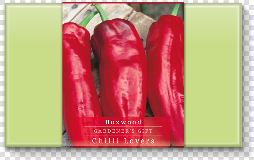 Boxwood Chilli Lovers   Cayenne Pepper  HD Png DownloadTransparent PNG
