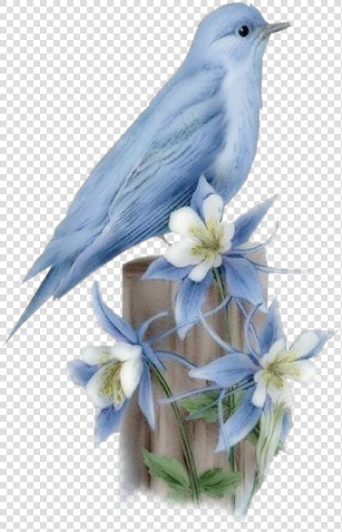 Hummingbird Bluebird Of Happiness   Bird  HD Png DownloadTransparent PNG