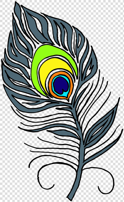 Pen  Peacock  Peacock Feathers  Feather  Bird  Colored   Peacock Feather Png Clip Art Black  amp  White  Transparent PngTransparent PNG