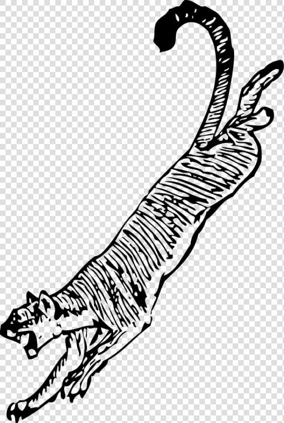 Cougar Svg Clip Arts   Cougar Clip Art  HD Png DownloadTransparent PNG