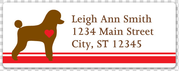 Boykin Spaniel  HD Png DownloadTransparent PNG