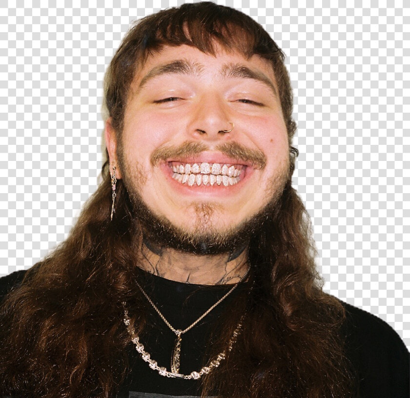 Collection Of Free Vector Portraits Post Malone   Post Malone Lollapalooza Brasil  HD Png DownloadTransparent PNG