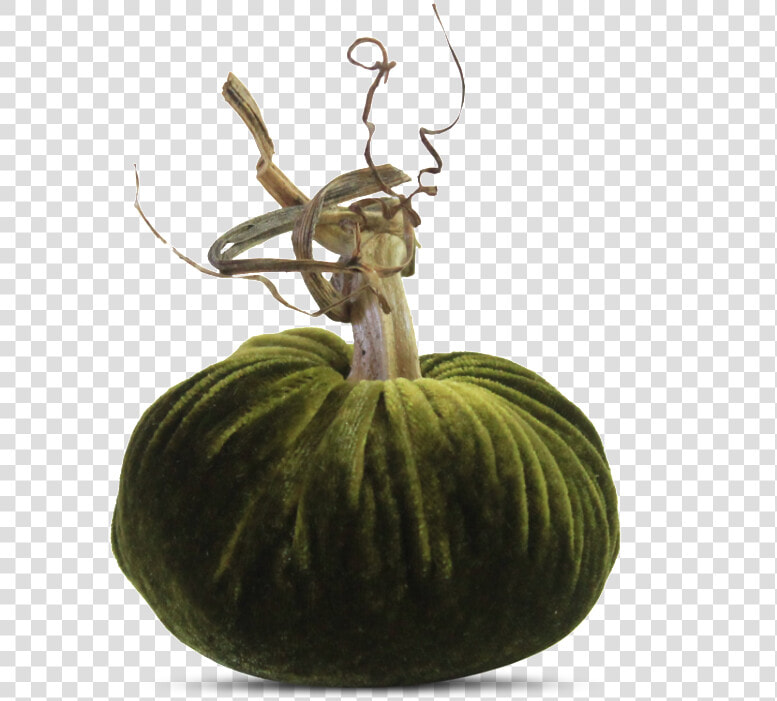 Figleaf Gourd  HD Png DownloadTransparent PNG