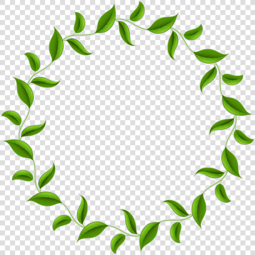 Leaf Tea Wreath Vector Green Circle Border Clipart   Leaf Circle Border Png  Transparent PngTransparent PNG