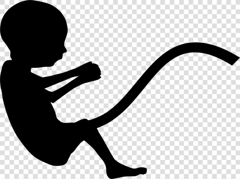 Fetus Png   Fetus Silhouette Png  Transparent PngTransparent PNG