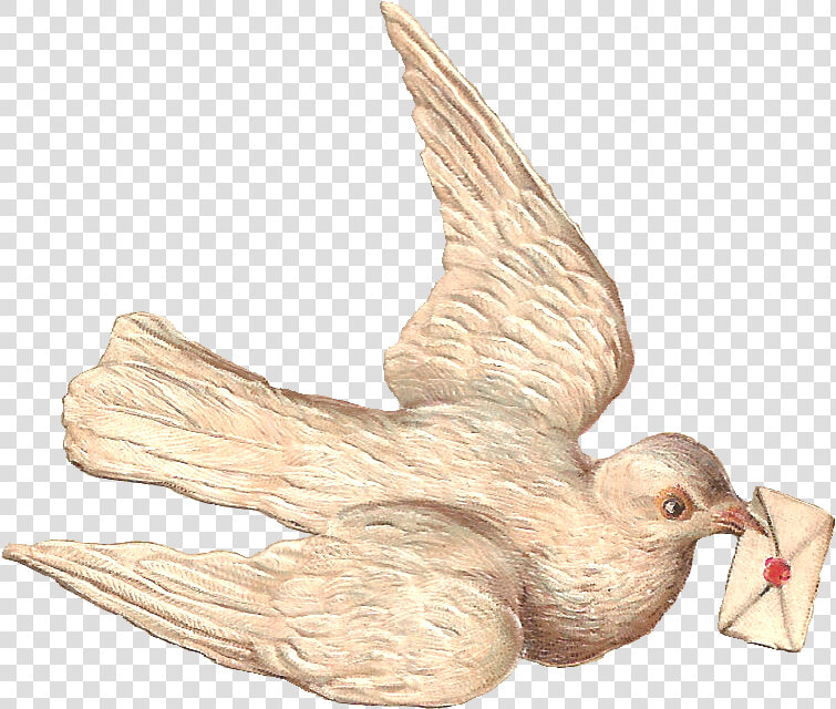 Dove With A Letter   Sending Letter Through Birds  HD Png DownloadTransparent PNG