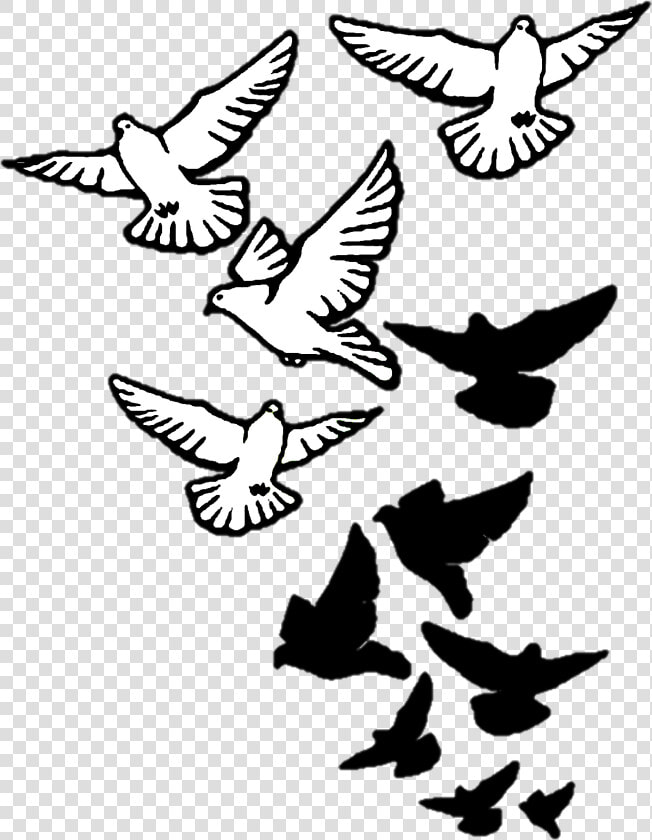 Columbidae Bird Tattoo Drawing Domestic Pigeon   Bird Tattoo Drawing  HD Png DownloadTransparent PNG
