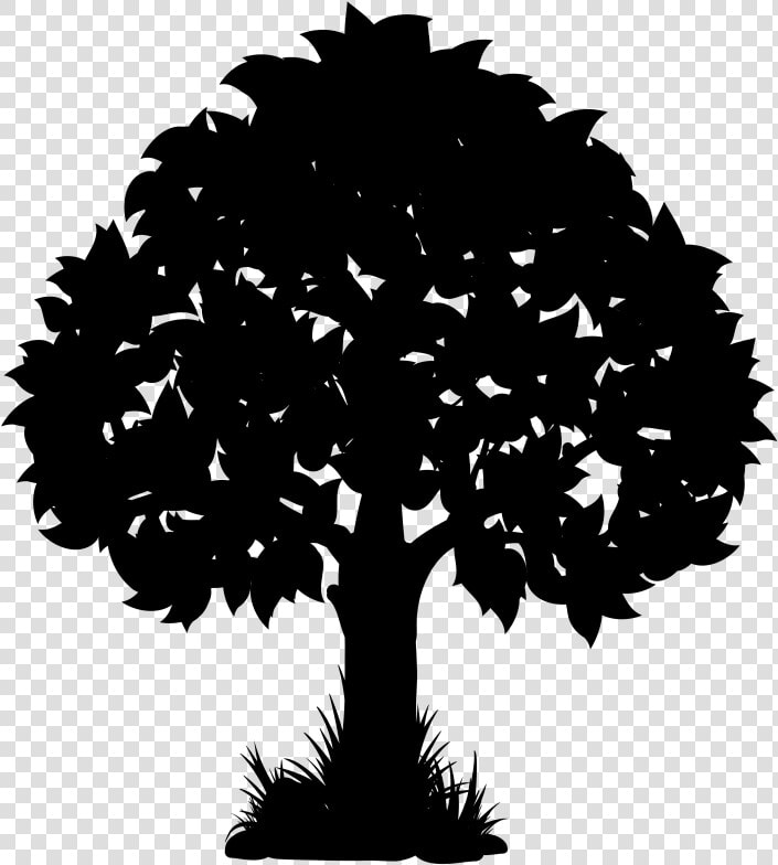 Vector Graphics Clip Art Silhouette Oak Illustration   Simple Oak Tree Silhouette  HD Png DownloadTransparent PNG