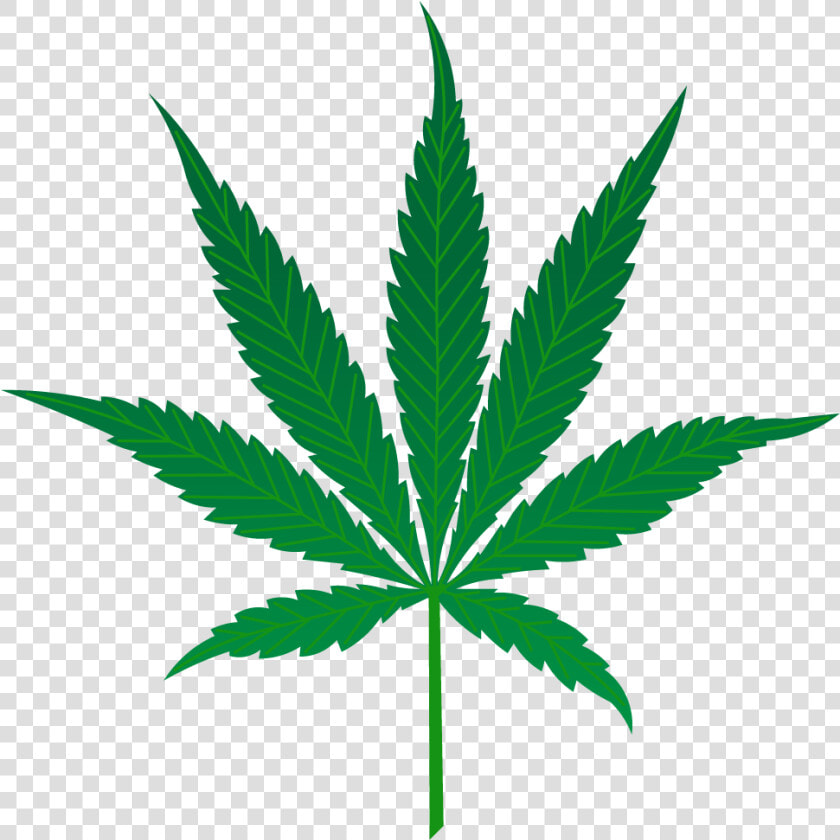 Marijuana Leaf   Marijuana Leaf Vector Png  Transparent PngTransparent PNG