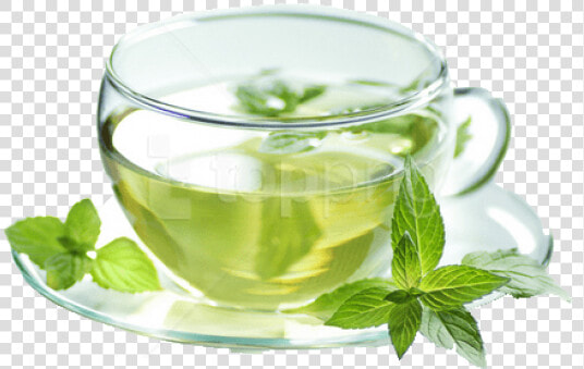 Maofeng   Green Tea Png  Transparent PngTransparent PNG