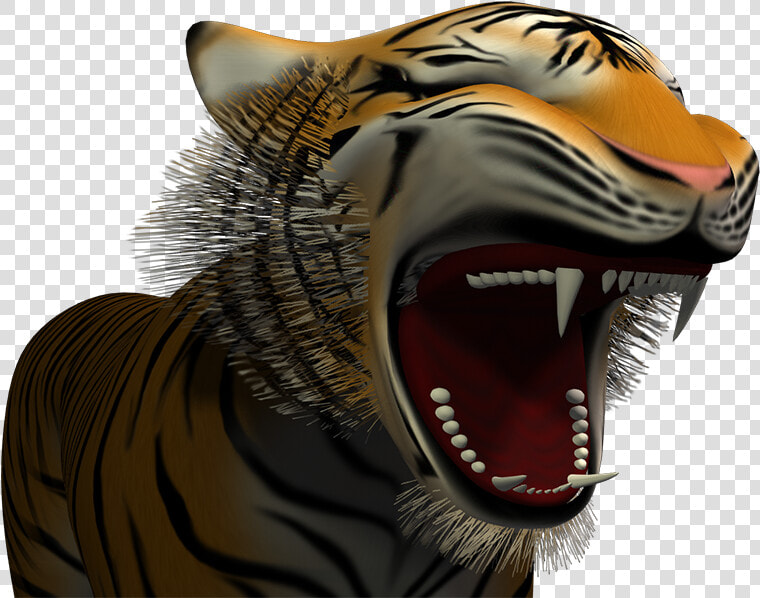 Roar  HD Png DownloadTransparent PNG
