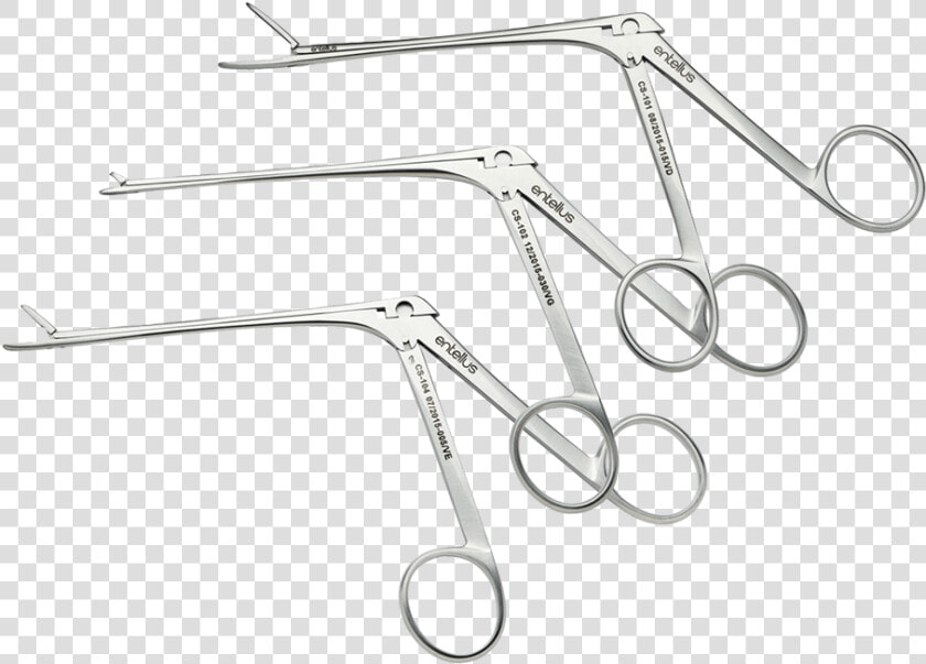 Forceps   Drawing  HD Png DownloadTransparent PNG