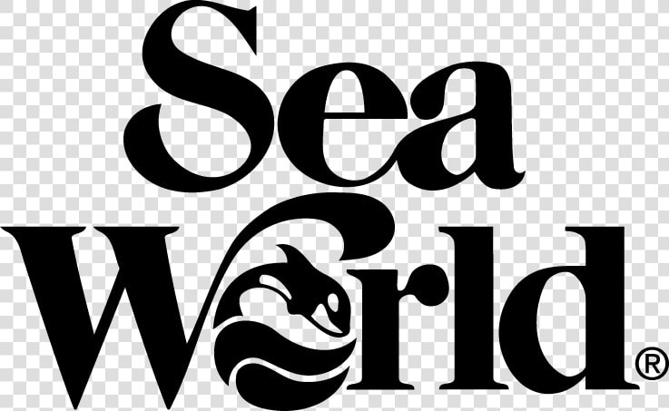 Sea Vector Png   Sea World Vector  Transparent PngTransparent PNG