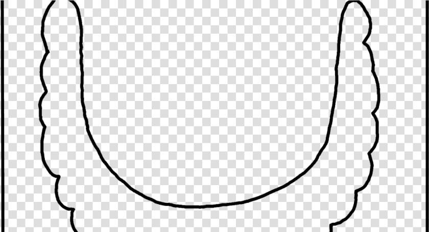 Line Art    Line Art  HD Png DownloadTransparent PNG