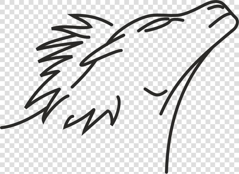 Lion Line Drawing   Line Drawing Com Lion  HD Png DownloadTransparent PNG