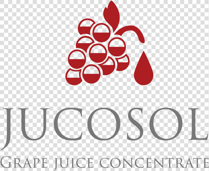 Logo Jucosol Nuevo   Jucosol Logo  HD Png DownloadTransparent PNG