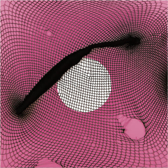 Arca Reverie Vinyl  HD Png DownloadTransparent PNG