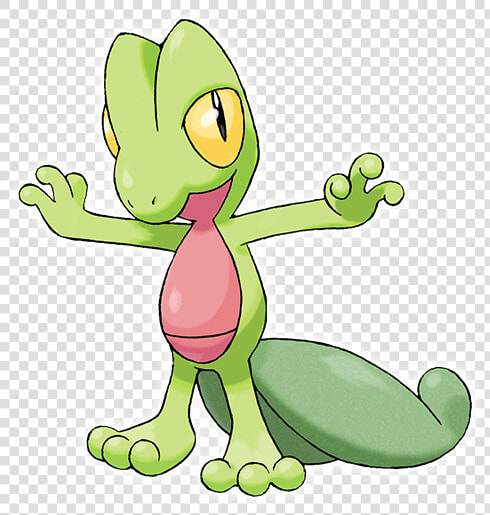 Treecko Pokemon  HD Png DownloadTransparent PNG