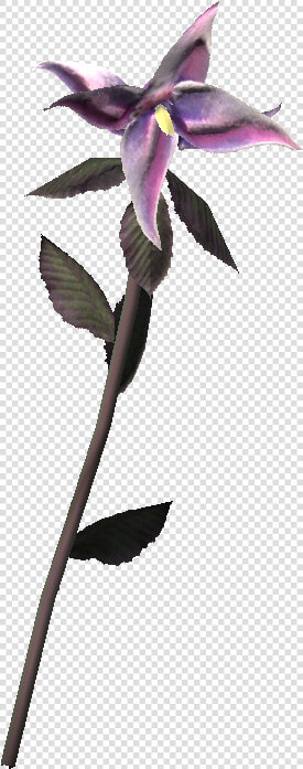 Nightshade   Skyrim Obscurcine  HD Png DownloadTransparent PNG