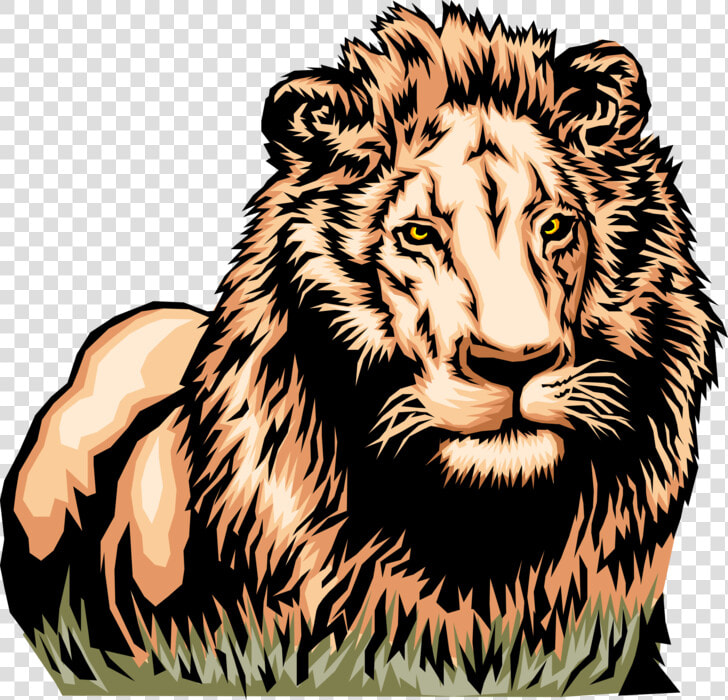 Vector Illustration Of Male African Lion King Of Jungle   Textile  HD Png DownloadTransparent PNG