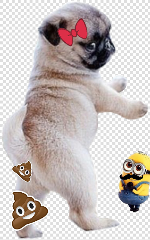 Pooping Dog  HD Png DownloadTransparent PNG