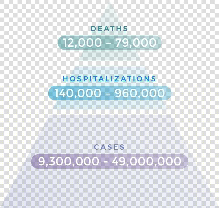 Between 12 000 79 000 Deaths From Flu In The U   Christmas Tree  HD Png DownloadTransparent PNG