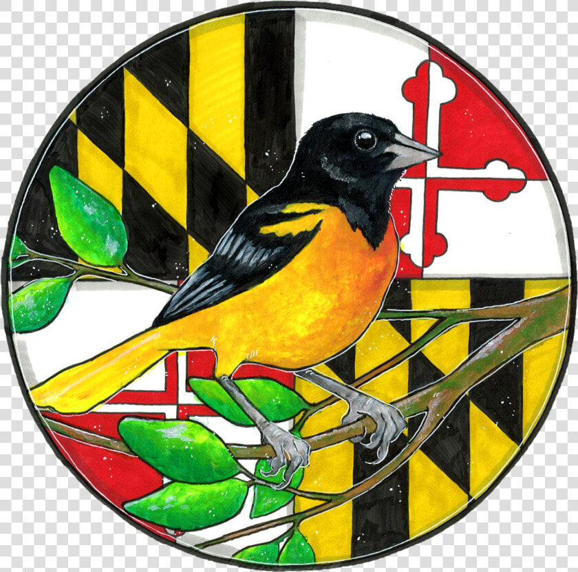 Finch  HD Png DownloadTransparent PNG