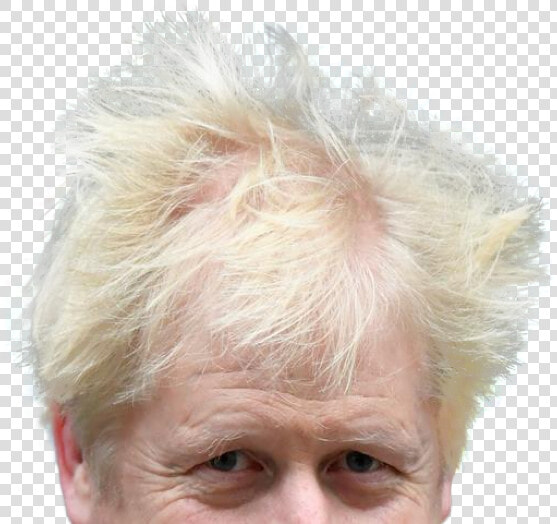 Boris Johnson Head Transparent  HD Png DownloadTransparent PNG