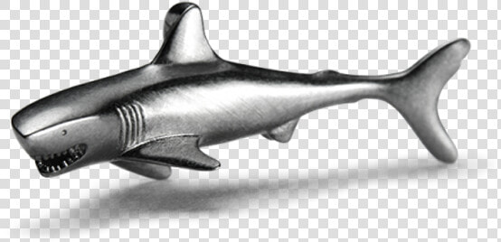 Bronze Hammerhead Shark  HD Png DownloadTransparent PNG