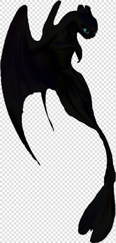 Night Fury And Light Fury  HD Png DownloadTransparent PNG