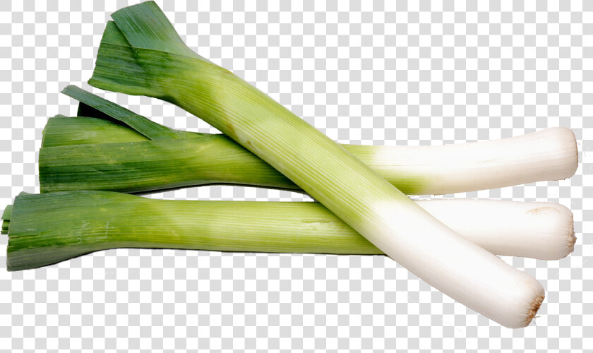 Fresh Leek  HD Png DownloadTransparent PNG