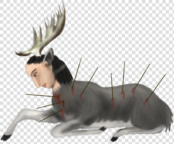 Cat Jumps  HD Png DownloadTransparent PNG