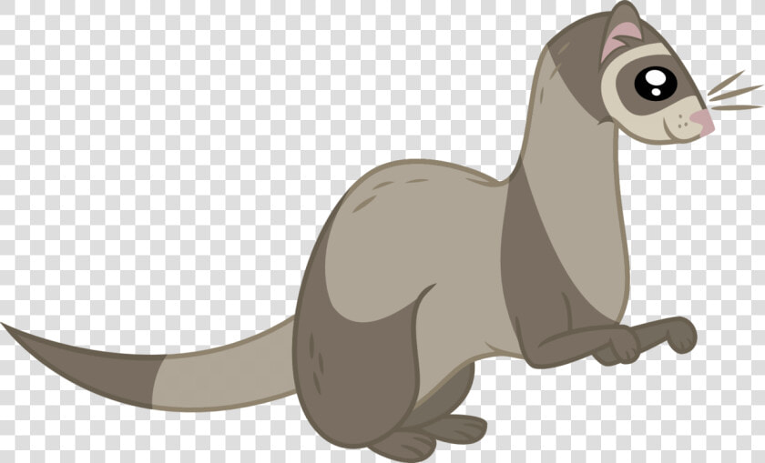 Ferret Vector Animal   Ferret  HD Png DownloadTransparent PNG