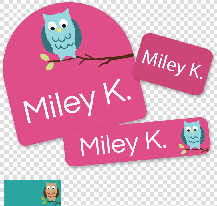 Transparent Pink Owl Png   Screech Owl  Png DownloadTransparent PNG