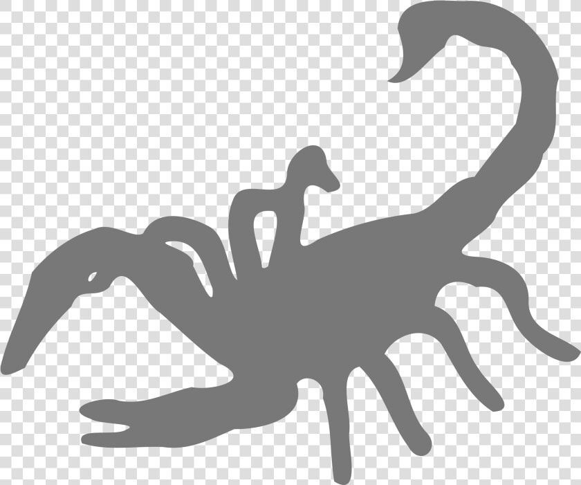Scorpions Png Download   Scorpion Logos Pngs  Transparent PngTransparent PNG