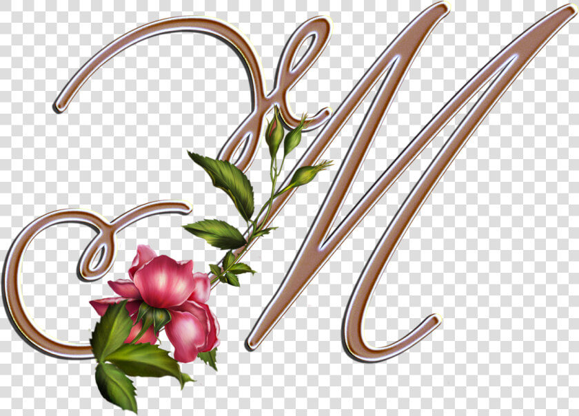 Letra M Con Flores Png  Transparent PngTransparent PNG