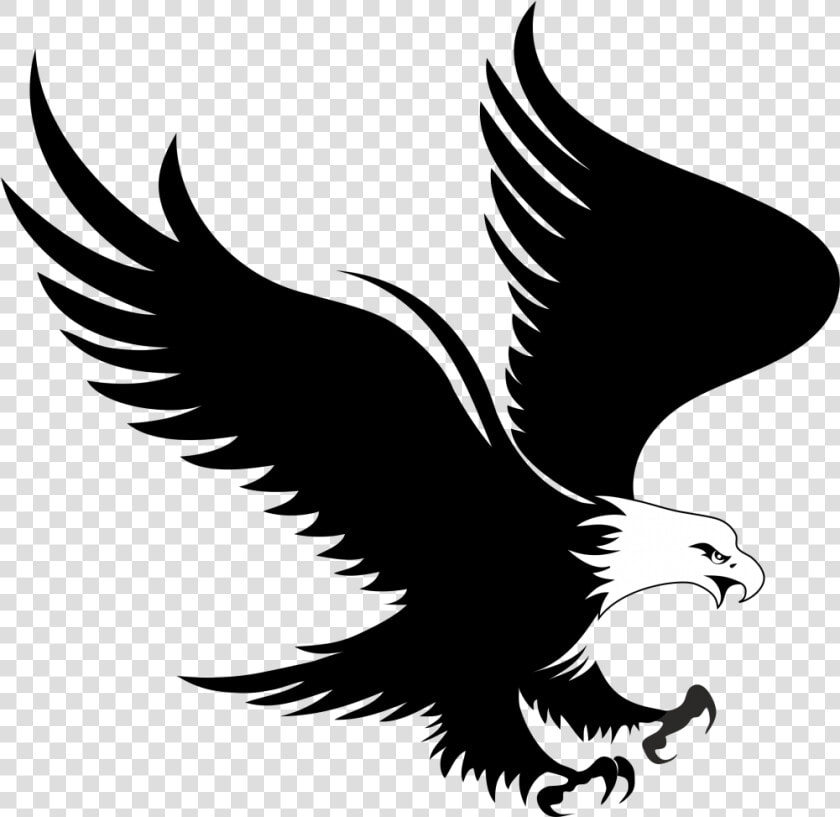Bald Eagle Logo Clip Art   Eagle Vector  HD Png DownloadTransparent PNG