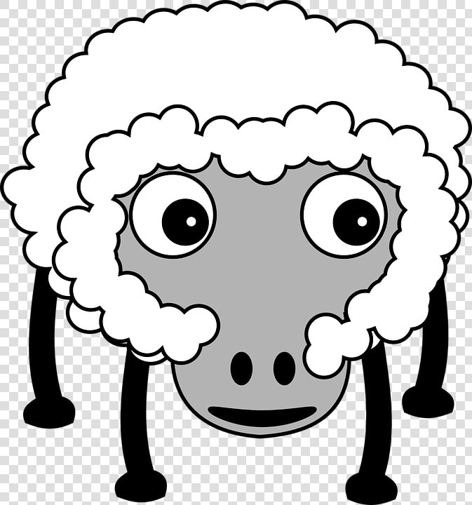 Sheep  Fluffy  Farm  Farm Animal  White  Funny  Cartoon   Wierd Looking Iphone  HD Png DownloadTransparent PNG
