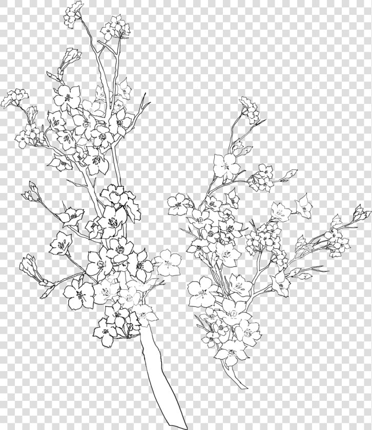 Transparent Black And White Flowers Tumblr   Flower Tumblr White Flowers Transparent  HD Png DownloadTransparent PNG