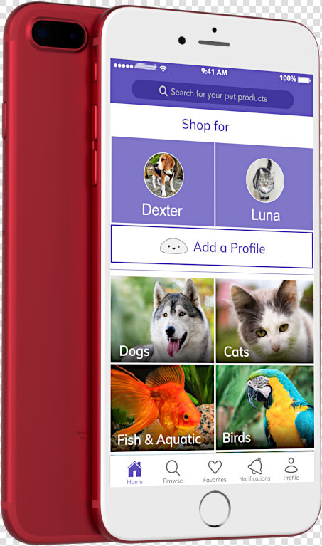 Mochi Pet App Shopping Pet Supplies   Smartphone  HD Png DownloadTransparent PNG