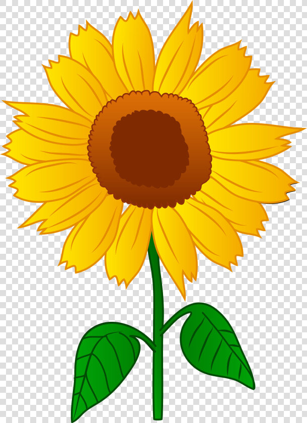 Sunflower seed   Clip Art Of Sunflower  HD Png DownloadTransparent PNG