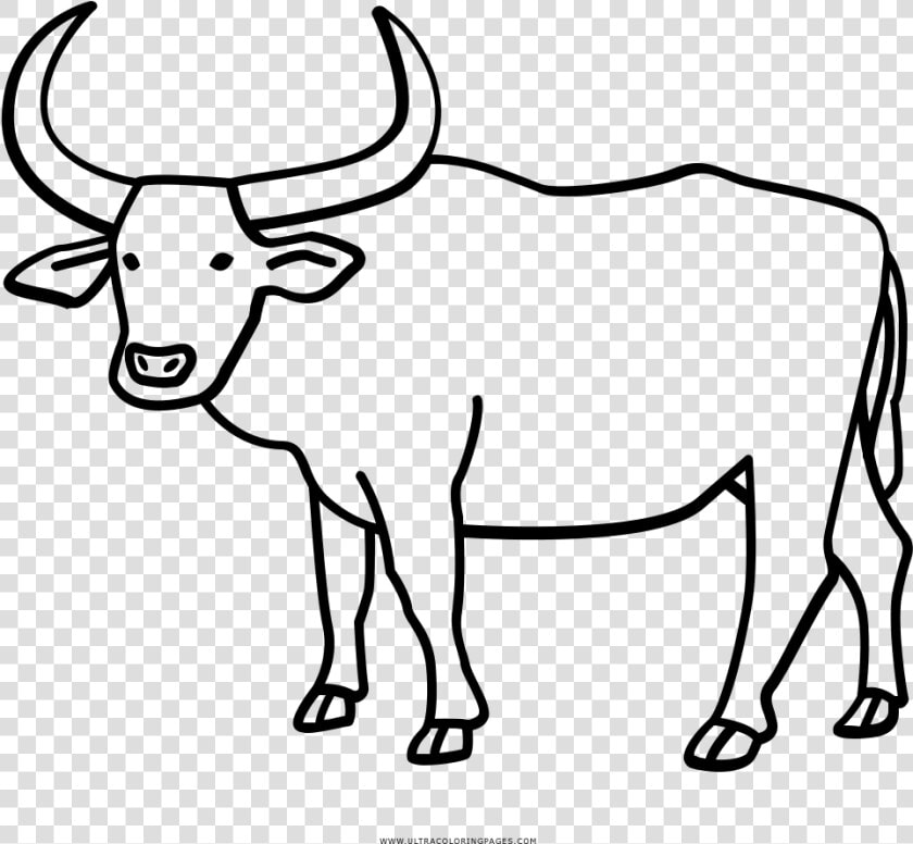 Carabao Clipart Black And White  HD Png DownloadTransparent PNG