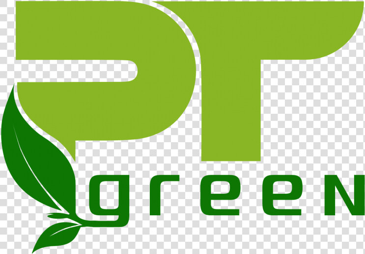Hoa Mai Png  Transparent PngTransparent PNG