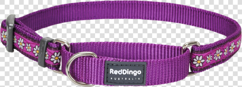 Martingale Daisy Chain Dog Collar   Dog Chain Collar Png  Transparent PngTransparent PNG