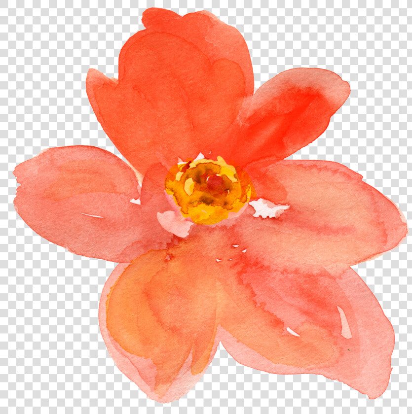 Free Fall Watercolor Floral Clip Art  So Pretty   Orange Watercolor Flower Transparent  HD Png DownloadTransparent PNG